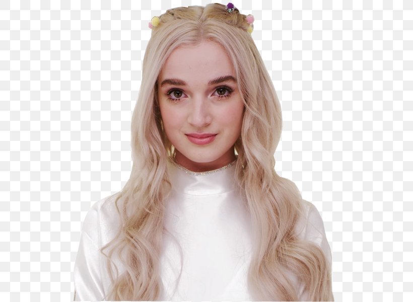 Poppy computer official pics images