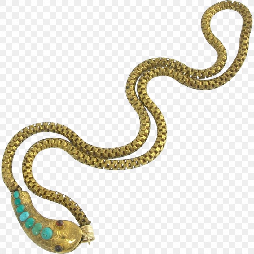 Chain Snake Animal