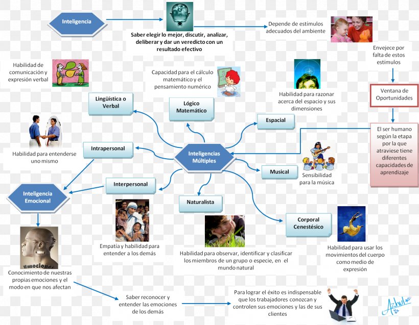 Theory Of Multiple Intelligences Thought Concept Map Mind Map Skill The Best Porn Website