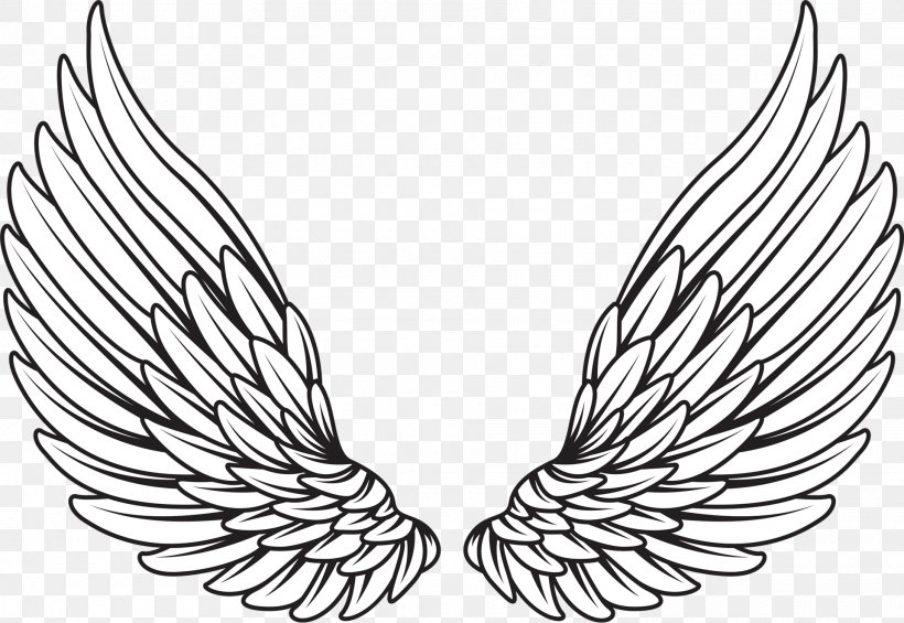 Drawing Royalty Free PNG X Px Drawing Angel Wing Art
