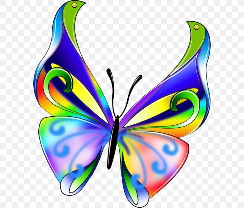 Butterfly Insect Brush Footed Butterflies Clip Art PNG 596x699px