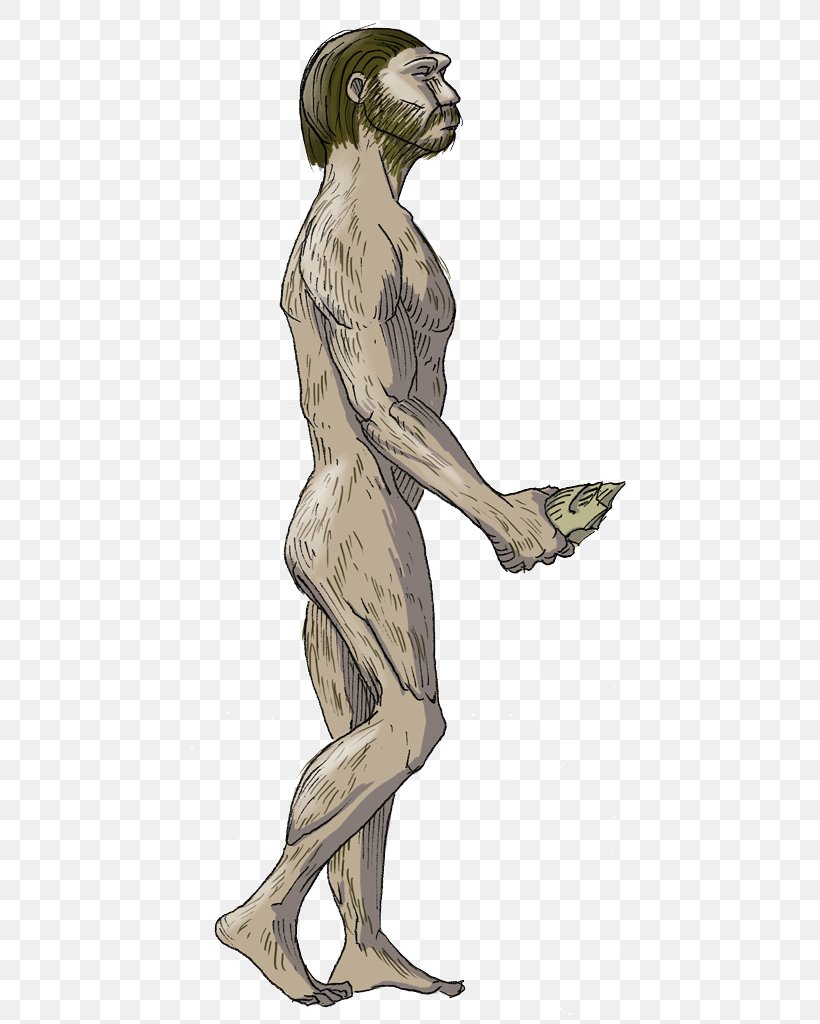 Homo Sapiens Neanderthal Homo Antecessor Upright Man Homo Habilis Hot Sex Picture