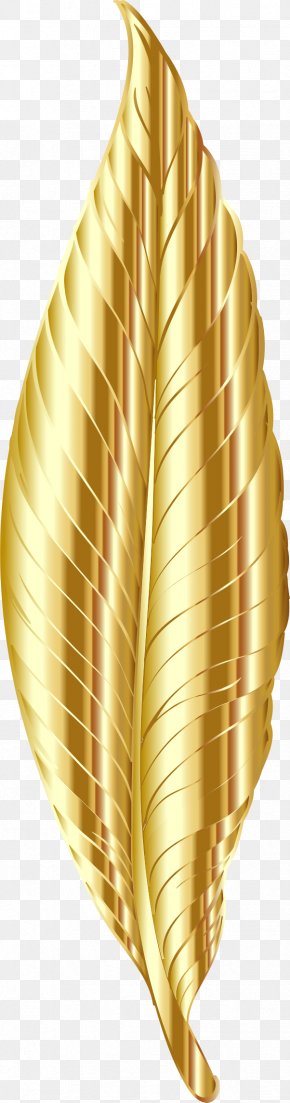 Gold Color Clip Art Png X Px Gold Area Color Grass Point