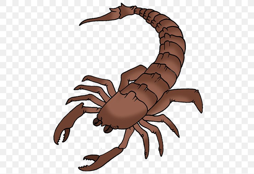Scorpion Clip Art PNG 500x561px Scorpion Arachnid Arthropod Claw