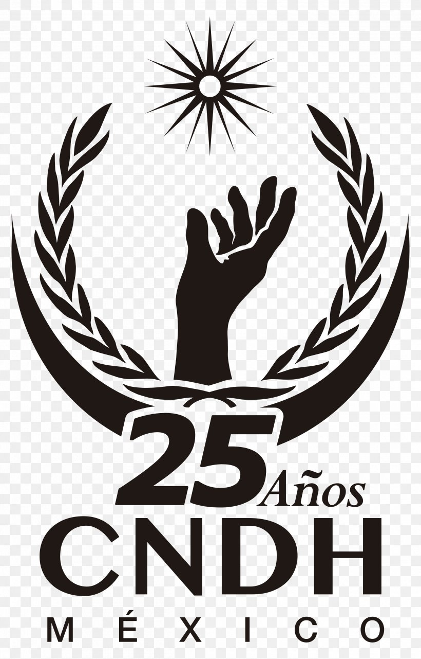 National Human Rights Commission Inter American Court Of Human Rights