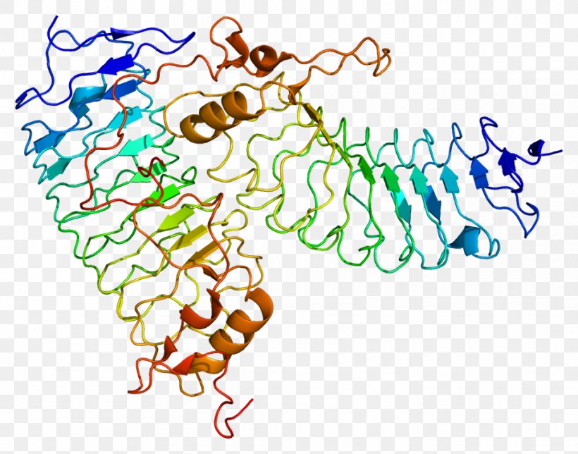 Glycoprotein Ib GP1BA Platelet Membrane Glycoprotein, PNG, 962x756px, Glycoprotein Ib, Alpha Chain, Area, Art, Artwork Download Free