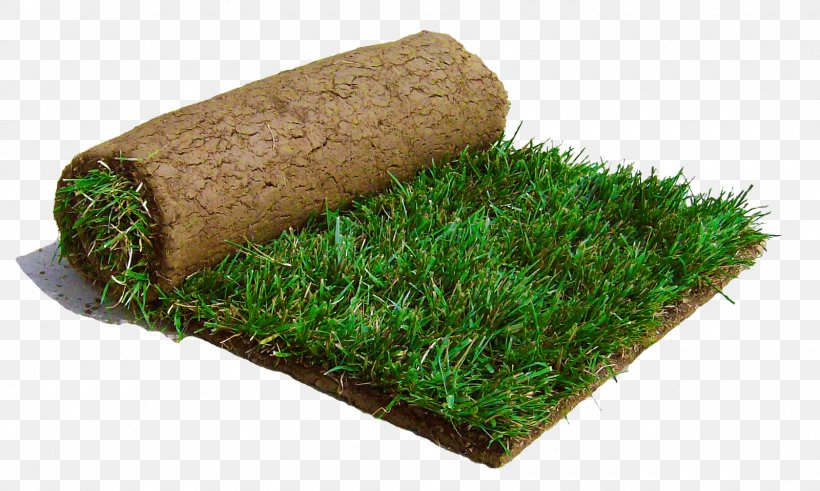 Lawn Sod Landscaping Kentucky Bluegrass Artificial Turf, PNG, 1600x959px, Lawn, Artificial Turf, Backyard, Fescues, Front Yard Download Free