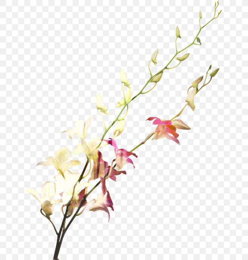 Wedding Floral Background, PNG, 649x860px, Cut Flowers, Anniversary, Blossom, Branch, Dendrobium Download Free
