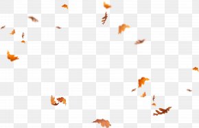 Leaf - Leaf Desktop Wallpaper Adobe Photoshop Overlay PNG