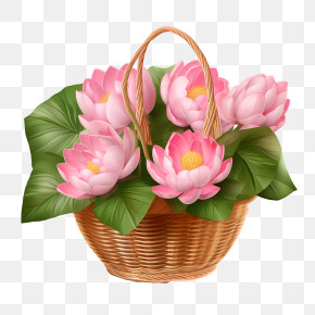 Lotus Flower - Pink Lotus Flowers In A Basket Illustration PNG