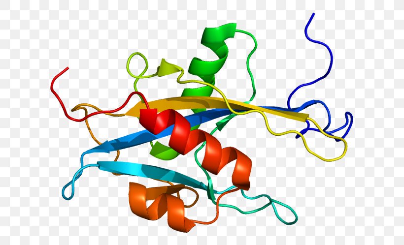 MUTYH DNA Glycosylase Gene Glycoside Hydrolase, PNG, 665x498px, Gene, Artwork, Base Excision Repair, Familial Adenomatous Polyposis, Food Download Free