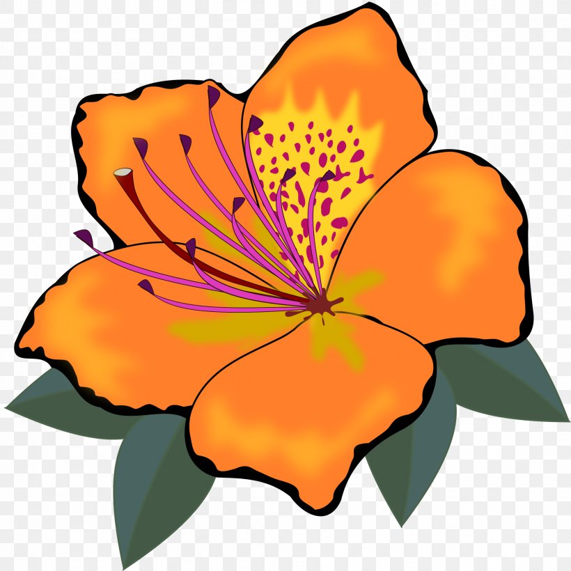 Flower Clip Art, PNG, 1919x1920px, Flower, Artwork, Blog, Cut Flowers, Floral Design Download Free
