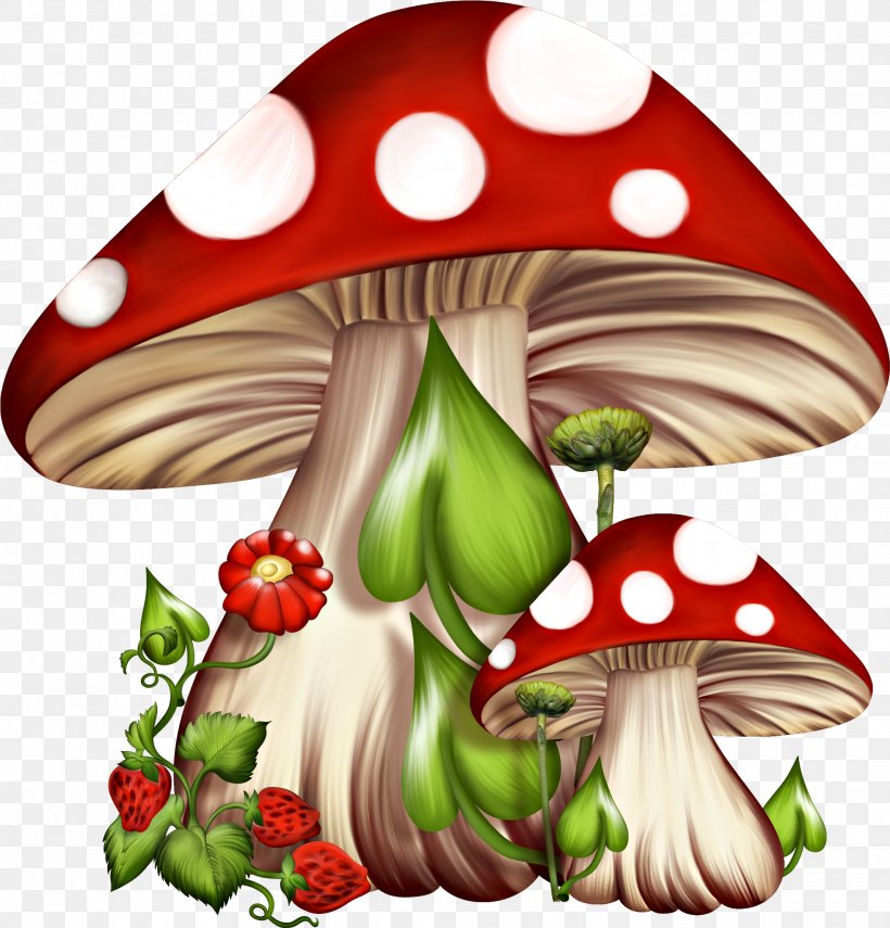 Mushroom Cartoon, PNG, 1963x2047px, Mushroom, Agaric, Alices Adventures In Wonderland, Amanita, Cartoon Download Free
