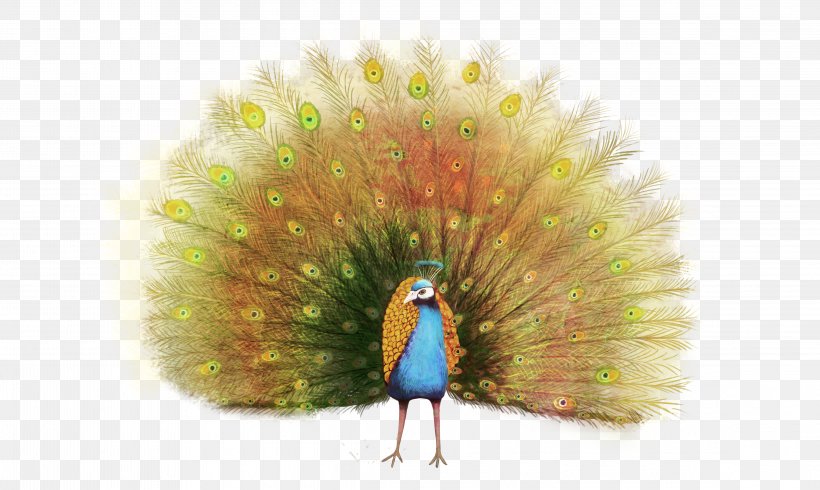 Paper Peafowl Painting Illustration, PNG, 4571x2733px, Paper, Beak, Cartoon, Feather, Grass Download Free
