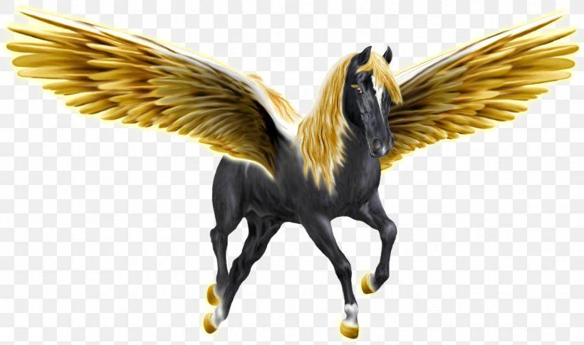 Pegasus Unicorn, PNG, 1325x784px, Pegasus, Beak, Bird, Fauna, Feather Download Free