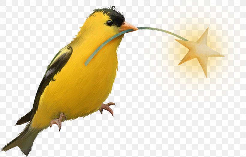 Bird Beak Yellow Clip Art, PNG, 1280x817px, Bird, Animal, Animated Film, Beak, Color Download Free