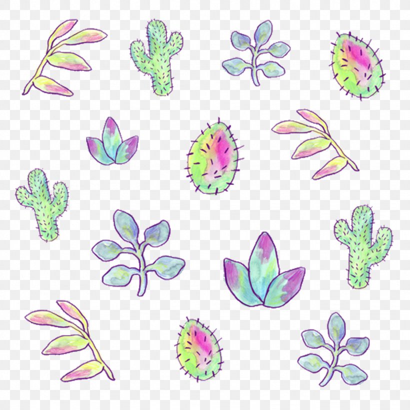 Cactus Succulent Plant Drawing Image Leaf, PNG, 1024x1024px, Cactus, Animation, Botany, Cactoscactus, Drawing Download Free