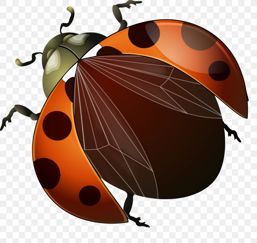 Ladybird Beetle Euclidean Vector, PNG, 1935x1829px, Ladybird, Beetle, Harlequin Ladybird, Insect, Invertebrate Download Free