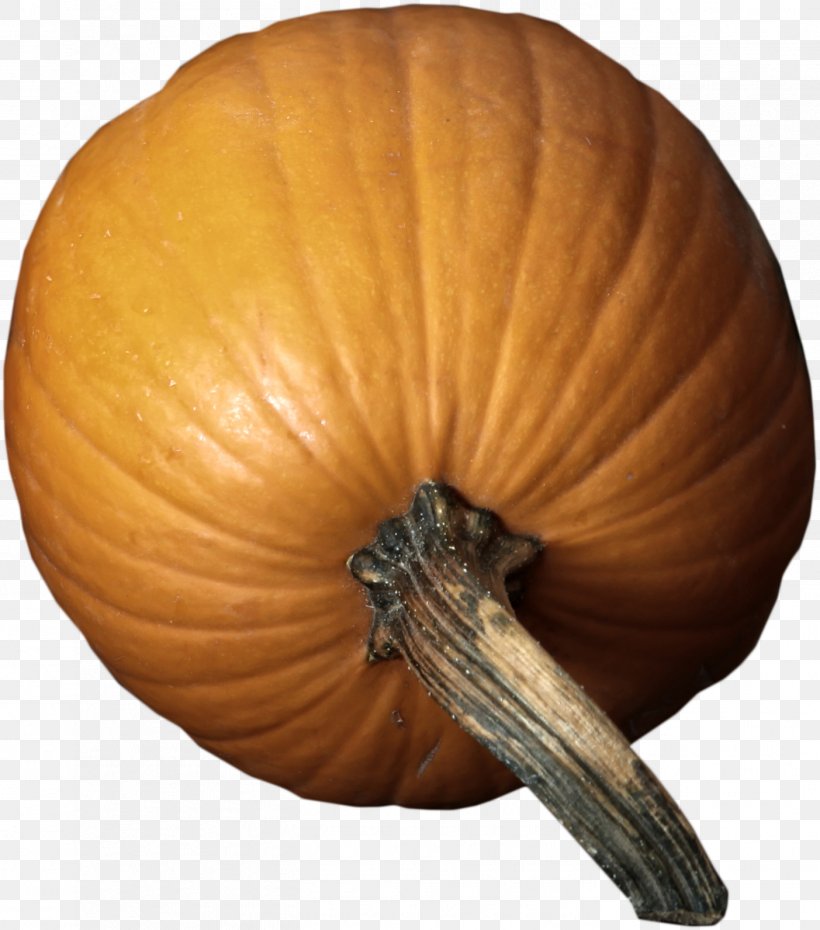 Pumpkin Calabaza Winter Squash Orange, PNG, 1403x1592px, Pumpkin, Calabaza, Cucurbita, Gourd, Halloween Download Free