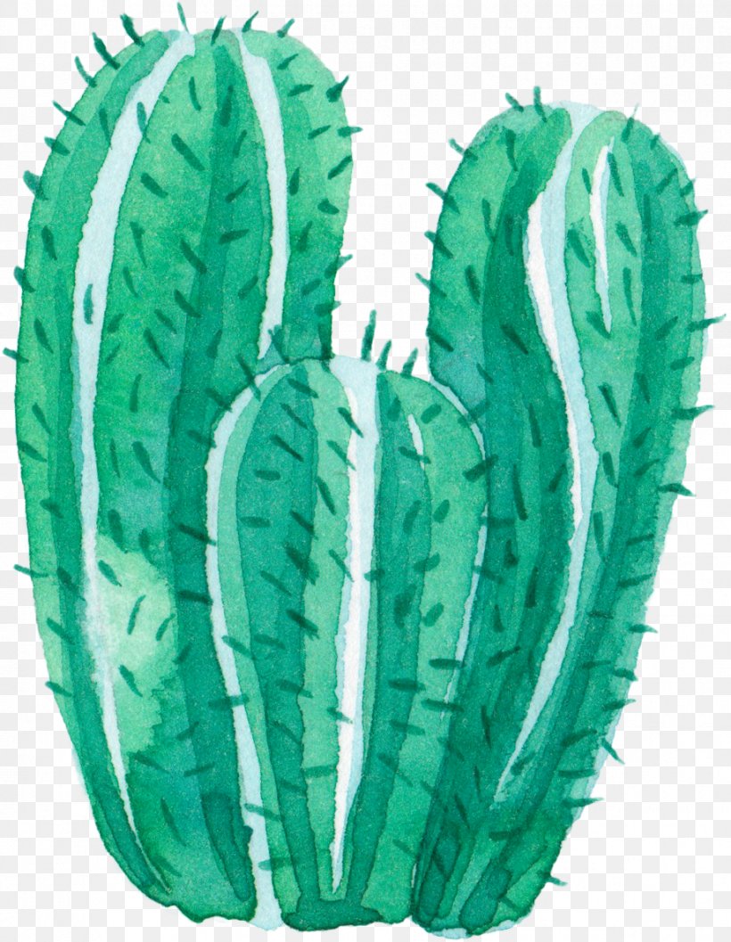 Cactaceae Watercolor Painting Leaf, PNG, 918x1184px, Cactaceae, Cactus, Creativity, Designer, Drawing Download Free
