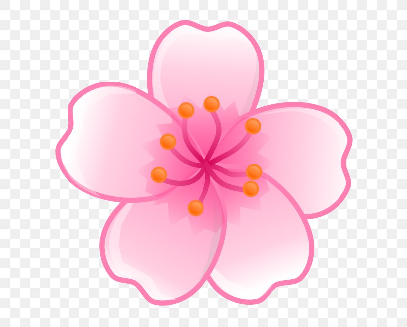 Cherry Blossom Flower Clip Art, PNG, 659x658px, Cherry Blossom, Blossom, Cherry, Drawing, Flower Download Free