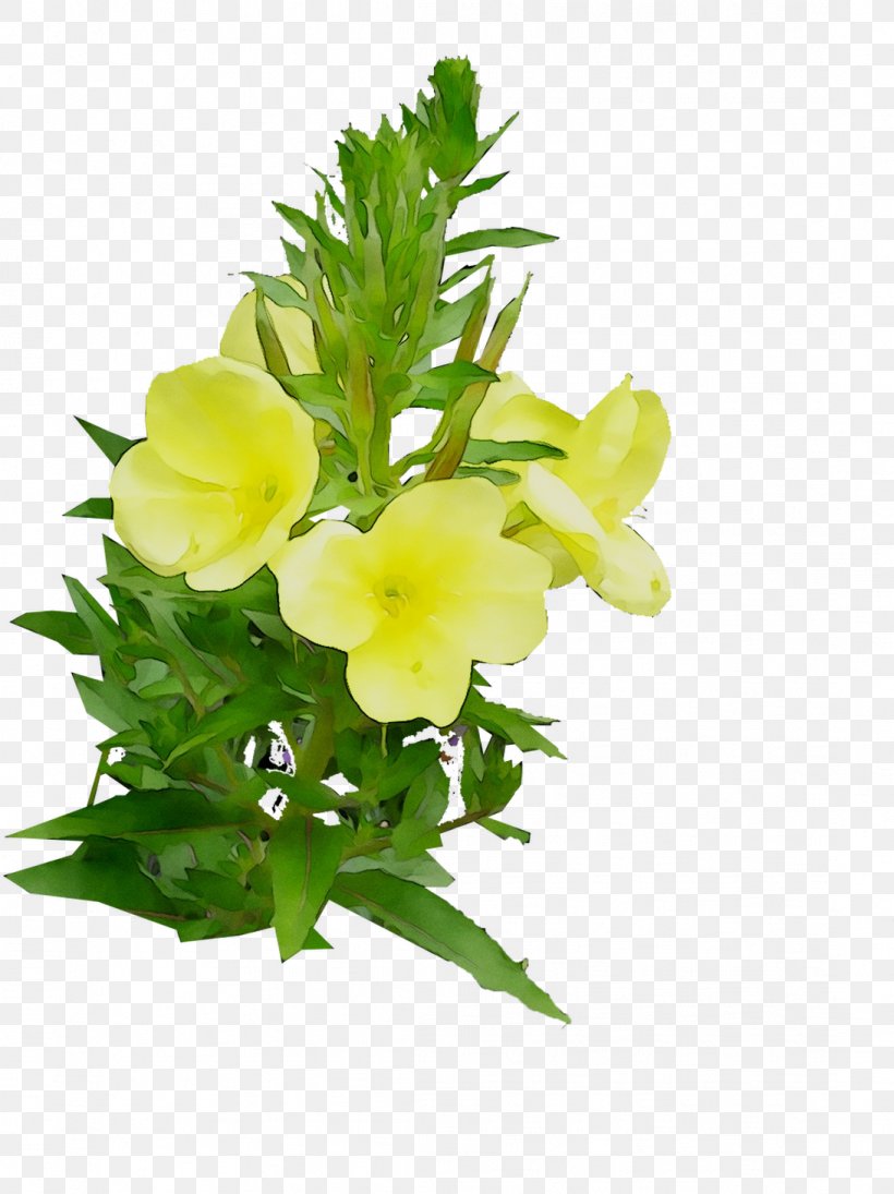 Large-flowered Evening-primrose Floral Design Cut Flowers, PNG, 1092x1459px, Floral Design, Bouquet, Common Evening Primrose, Cut Flowers, Evening Primrose Family Download Free