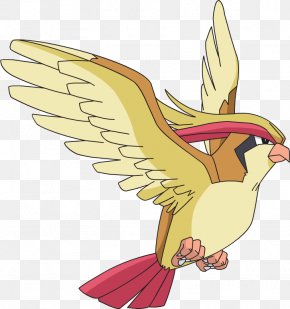 Pidgey - PokÃ©mon GO Pidgeotto PokÃ©mon Types PNG