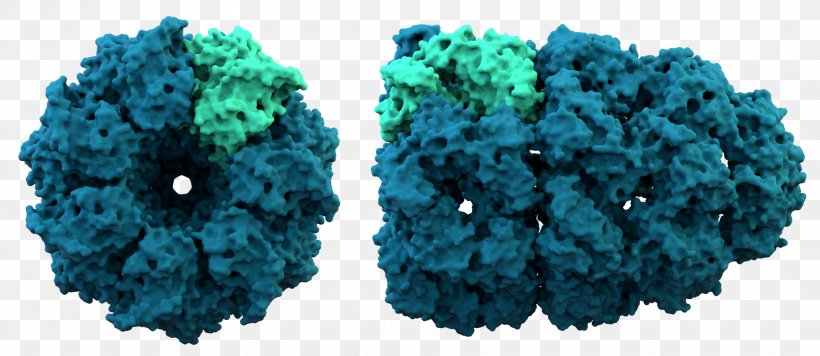 Protein Structure Chaperonin Protein Folding Chaperone, PNG, 1956x850px, Protein, Amino Acid, Chaperone, Chaperonin, Crochet Download Free