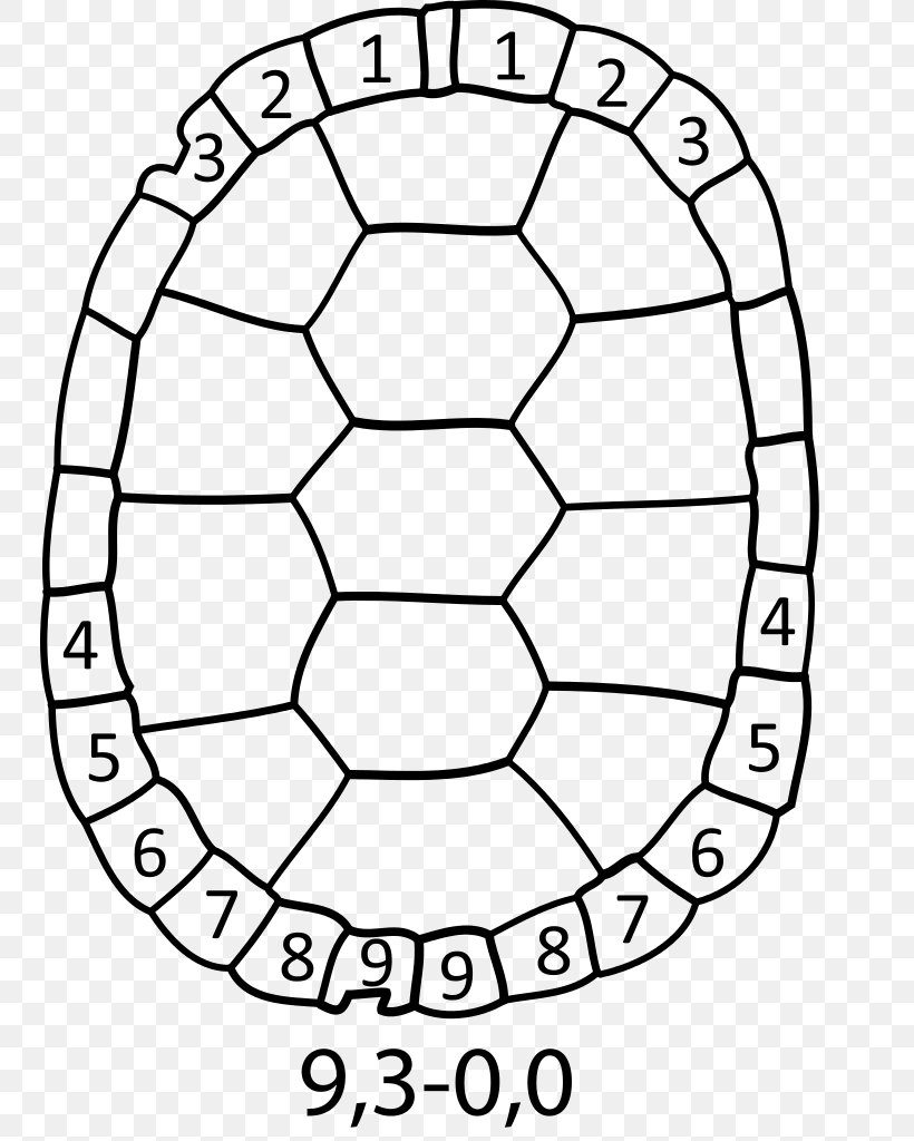 Turtle Shell Drawing Painted Turtle Reptile, PNG, 748x1024px, Turtle, Area, Ball, Black And White, Diagram Download Free