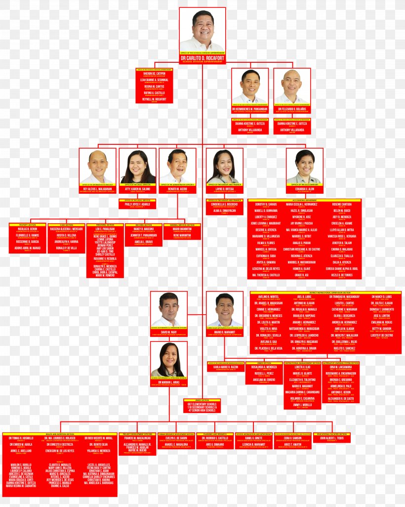 Batangas City Organizational Chart Department Of Education Organizational Structure, PNG, 4452x5573px, Batangas City, Area, Batangas, Brand, Chart Download Free
