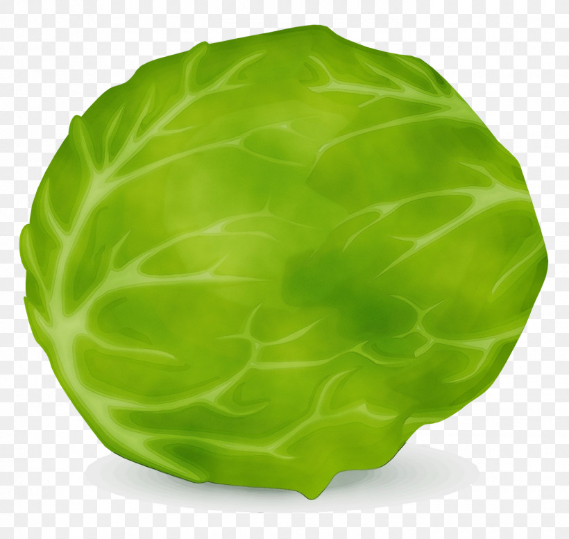 Collard Savoy Cabbage Lettuce Spring Greens Leaf, PNG, 1400x1328px, Watercolor, Biology, Collard, Green, Leaf Download Free