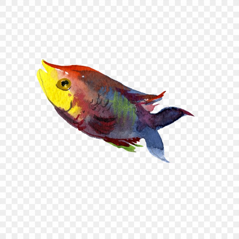 Fish Illustration, PNG, 3000x3000px, Fish, Beak, Bird, Common Pet Parakeet, Fauna Download Free
