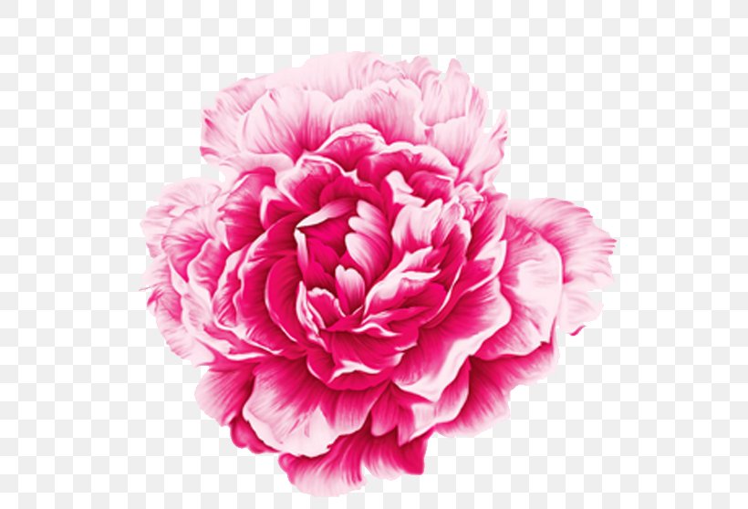 Moutan Peony Watercolor Painting, PNG, 614x558px, Moutan Peony, Art, Artificial Flower, Carnation, Cut Flowers Download Free