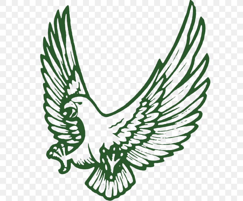 Northwest High School Meadowcreek High School National Secondary School Catholic School, PNG, 600x678px, Northwest High School, Alumnus, Beak, Bird, Black And White Download Free