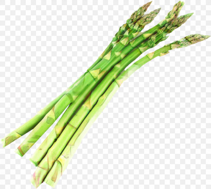 Onion Cartoon, PNG, 1424x1280px, Asparagus, Black Salsify, Bunch Of Asparagus, Cooking, Cream Of Asparagus Soup Download Free
