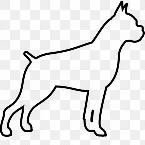 Puppy - Dog Breed Puppy Boxer Non-sporting Group Border Collie PNG