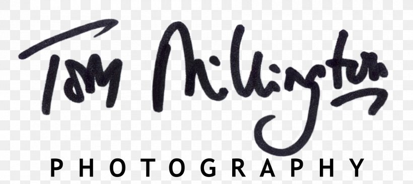 Portrait Photography Contact Page Portrait Photography Wedding Photography, PNG, 1800x806px, Photography, Area, Black And White, Brand, Calligraphy Download Free