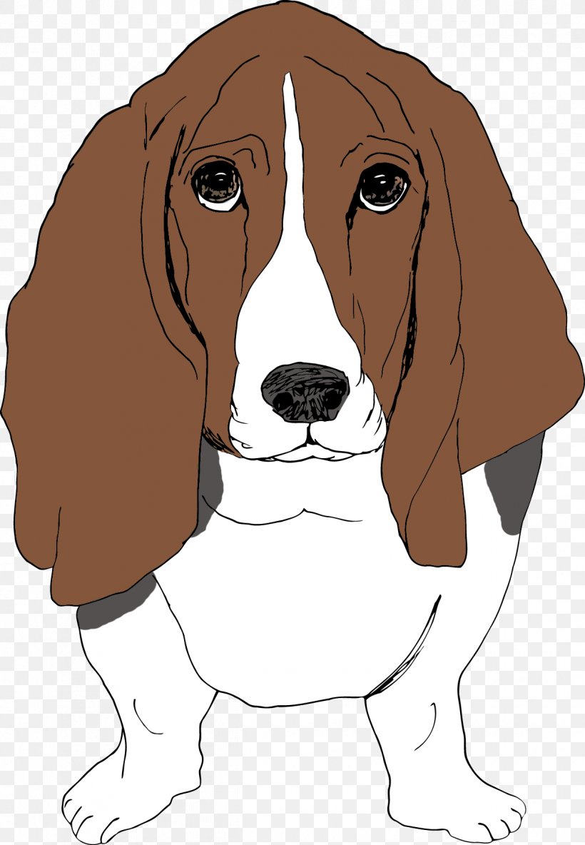 Beagle Harrier Basset Hound Puppy Dog Breed, PNG, 1246x1800px, Beagle, Basset Hound, Breed, Carnivoran, Cartoon Download Free