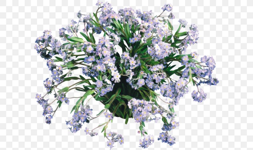 Flower Bouquet English Lavender Cut Flowers Clip Art, PNG, 600x487px, Flower, Artificial Flower, Bit, Blume, Cut Flowers Download Free