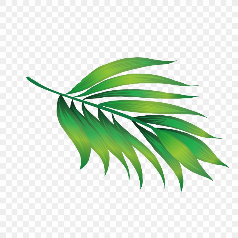 Hawaii Icon, PNG, 2917x2917px, Leaf, Grass, Green, Plant, Plant Stem Download Free