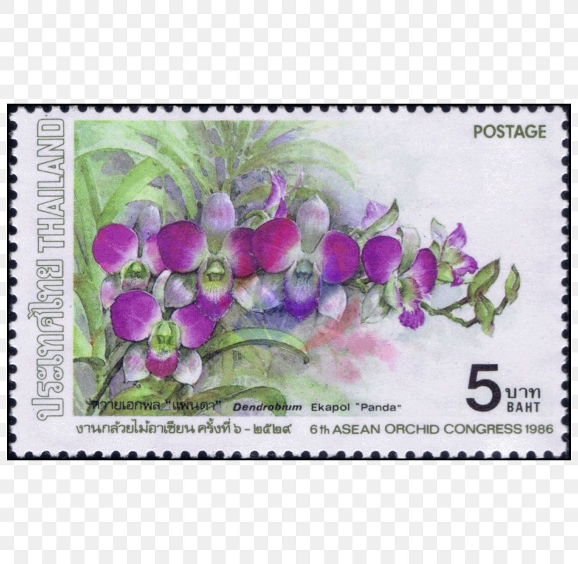 Lavender Lilac Violet Purple Magenta, PNG, 800x800px, Lavender, Flora, Flower, Flowering Plant, Lilac Download Free
