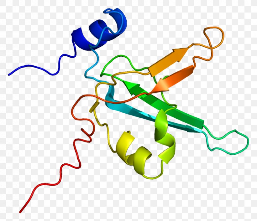 Replication Protein A1 Gene DNA, PNG, 824x710px, Replication Protein A, Animal Figure, Area, Artwork, Dna Download Free