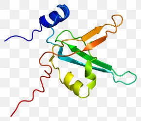 Replication Protein A1 Gene DNA PNG