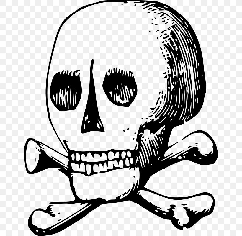 Skull Bone Skeleton Nose Clip Art, PNG, 658x800px, Watercolor, Cartoon, Flower, Frame, Heart Download Free