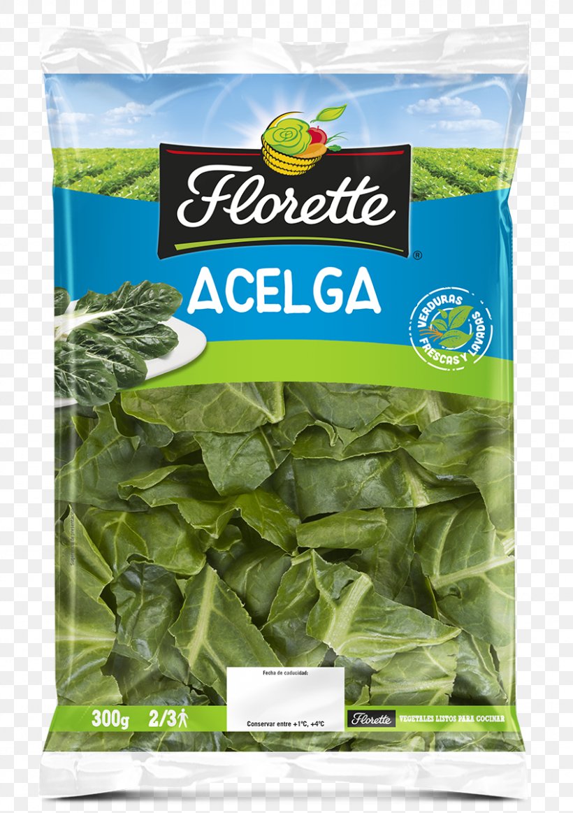 Spinach Vegetarian Cuisine Mesclun Chard Vegetable, PNG, 846x1200px, Spinach, Basil, Canning, Chard, Corn Salad Download Free