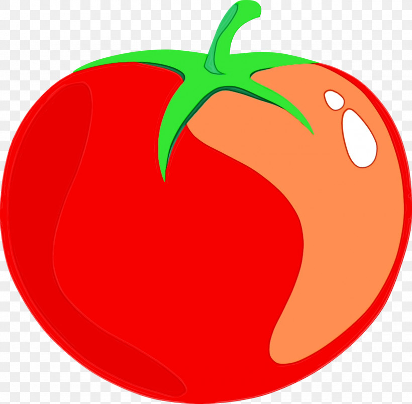 Tomato, PNG, 1280x1256px, Watercolor, Apple, Area, Geometry, Line Download Free