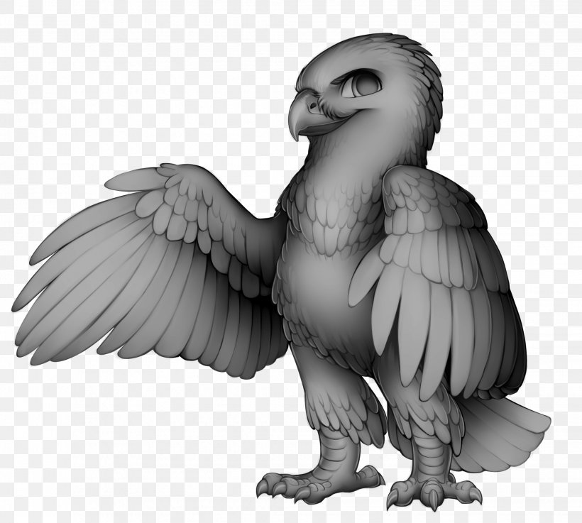 Eagle Bearded Vulture Bird Hawk, PNG, 2059x1852px, Eagle, Beak, Bearded Vulture, Bird, Bird Of Prey Download Free