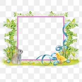 Easter Border - Picture Frames Easter Flower PNG