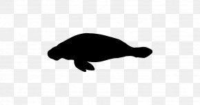 Sea Cows Animal Turtle PNG