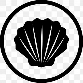 Allergy - Shellfish Food Allergy Gluten-free Diet PNG
